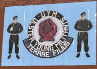 Ulster Young Militants